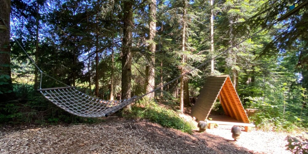 Kalter Brunnen - Hängematte