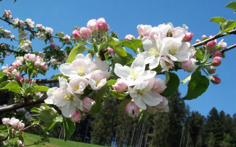 Bauernhof Wiedemann - Winterlandschaft