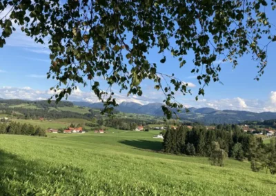 Ausblick - Bauernhof Wiedemann