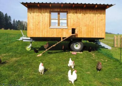 Hühnerstall