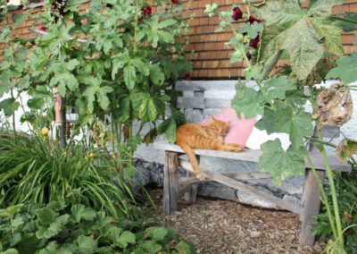 Kater Charlie beim chillen - Bauernhof Wiedemann